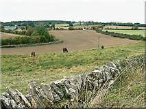 SP3814 : Field boundary, east of Bridewell Farm, East End, Witney by Brian Robert Marshall