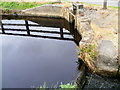 A Sluice at the Dam