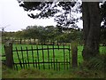 Tullyrusk Townland