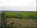 Farmland to the West of Haroldston Hall