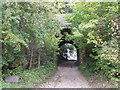 Disused Railway Bridge