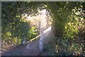 Footbridge near Elphicks Farm