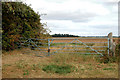 Double gate on Poplar Farm