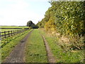 Trans Pennine Cycle Trail near Penistone