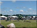 Stunt motorcyclists at Llandeilo Welsh Game Fair