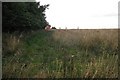 Wet field, Blackrig