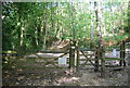 Gate into Hurst Wood