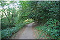 Footpath from Rusthall