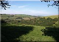 Field with view on Hothill lane