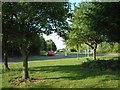 Traffic Island between Sandy Way and Mercian Way  (5)