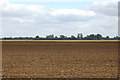 Wide fenland landscape on Poplar Farm (2)