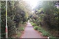 The Crab and Winkle Way Cycle Path in Whitstable towards the Thanet Way