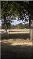 Maypole PH on Hayling Island seen from footpath