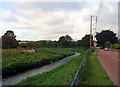 Footbridge connecting Hamsterley and Blackhall Mill