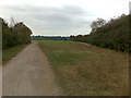 Field by the A52