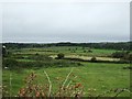 R1894 : Farmland near Kilfenora by Simon Huguet