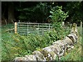 Old wall, new gate