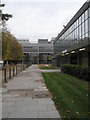 Path within Brunel University