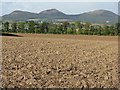 Newly ploughed field near Wellrig