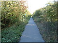 Cycle Path , North Beverley