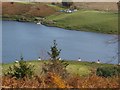 Neilston Trout Fishery from above