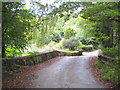 Bridge over the stream below Kestle Farm