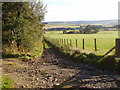 Track heading down through fields