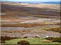 NZ0145 : Moorland patchwork by Joan Sykes