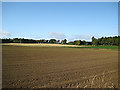 Recently sown field at Ballathie