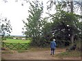 Walking by a farm gateway at Polesden Lacey