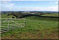 Valley below Bowering?s Barn (2)