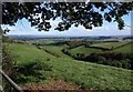 Valley below Bowering?s Barn (3)