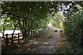 Approach to footbridge over M40 by junction 15