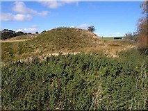 NY9393 : Motte and Bailey Castle at Elsdon by Oliver Dixon