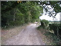 Farm track - close to Hodd