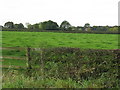 Fields Off Rowleybank Lane