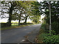 High Legh - West Lane At The Avenue (Northern End)