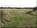 Fields Off Bucklowhill Lane