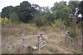 Stile and Gate near Brickhouse Wood