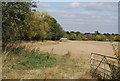 Field south of Lower Haysden Lane
