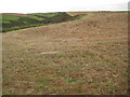 Valley above Pine Haven