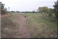 Ditch in Chestfield Golf Course