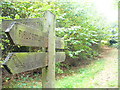 Sussex Border Path