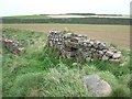 Ruined wall beside the coast path, Dale