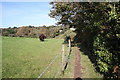 Footpath alongside the Penryn River near Gorrangorras