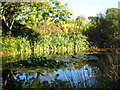 Pond at Penmount crematorium