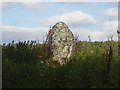 TM3894 : The Stockton Stone by Ashley Dace