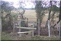 Double stile and footbridge near Cripple Hill