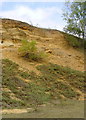 Sand Cliff in Abandoned Workings