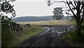 Field with logpile by Blackmoor Road